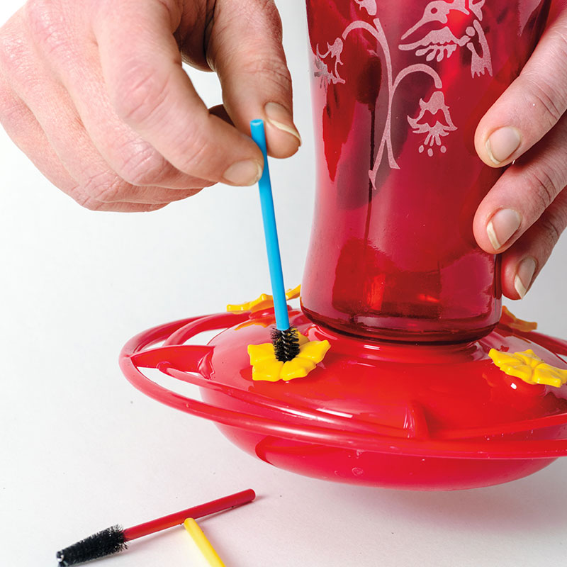 Hummingbird Feeder Brushes Birding From Gardens Alive