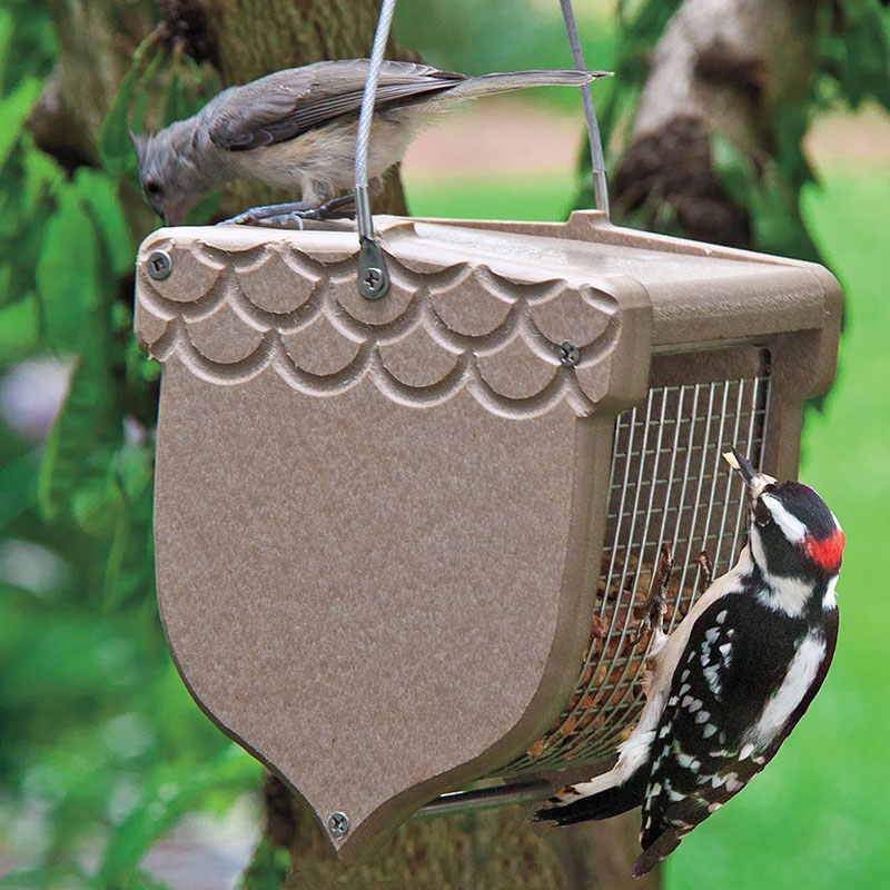 Acorn Peanut Feeder Gardens Alive