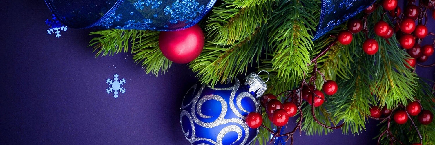 Give A Touch of Georgia This Christmas!