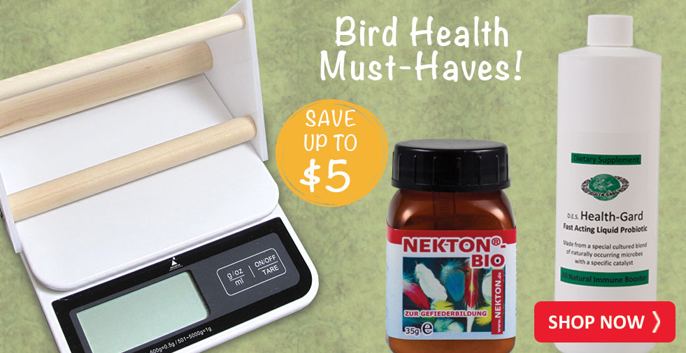 Bird Supplies, Bird Food, Free Shipping Great Companions