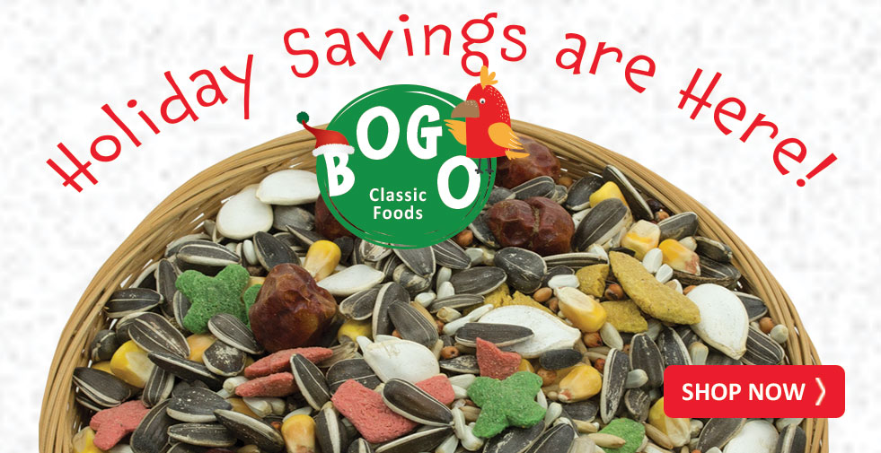 Bird Supplies, Bird Food, Free Shipping Great Companions