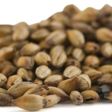 Baird S Carastan Malt