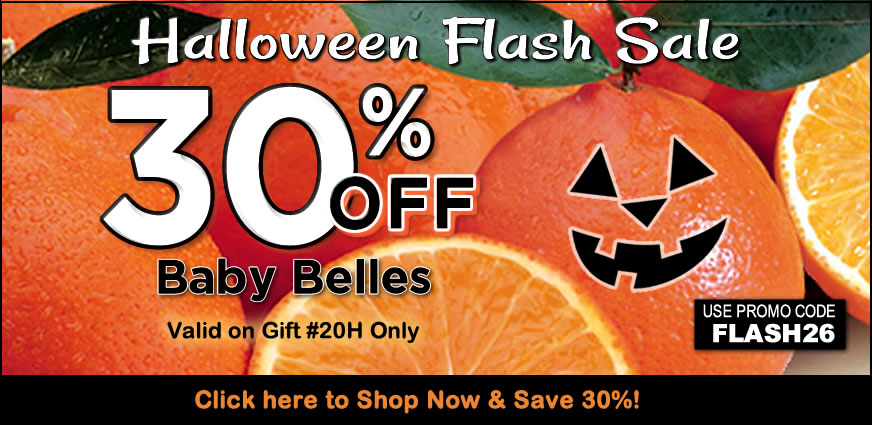 Flash Sale