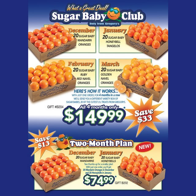 Sugar Baby Club Plan, Sugar Baby Oranges Gregory's Groves