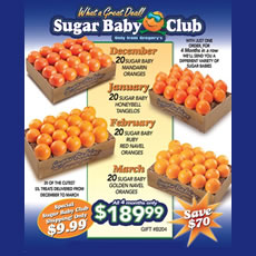 Sugar Baby Club Plan
