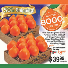 50% off Shipping!  Honeybell BOGO!