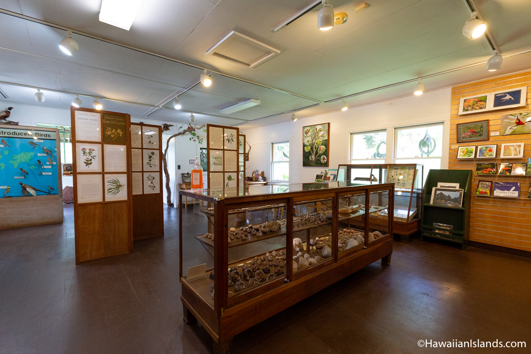 10 Awesome Things to Do on a Rainy Day in Kauai