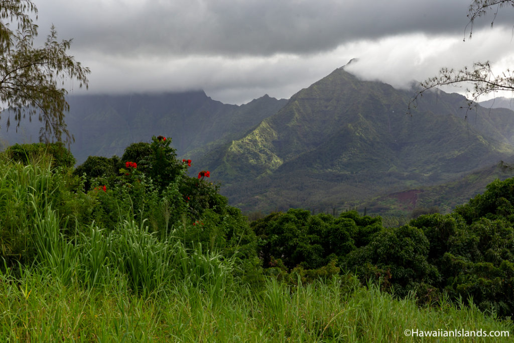 Kauai Weather by Month Best & Worst Times to Visit
