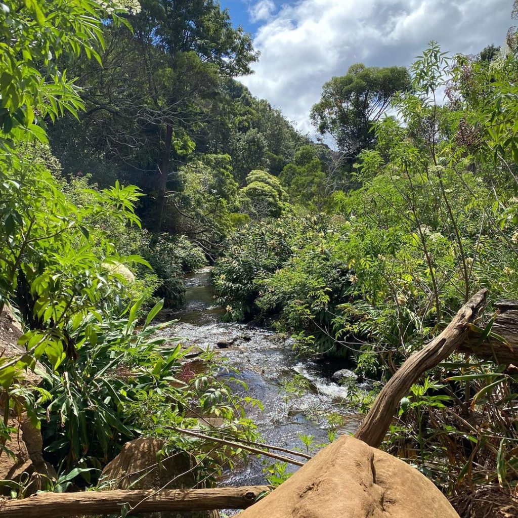 Kauai Weather by Month Best & Worst Times to Visit