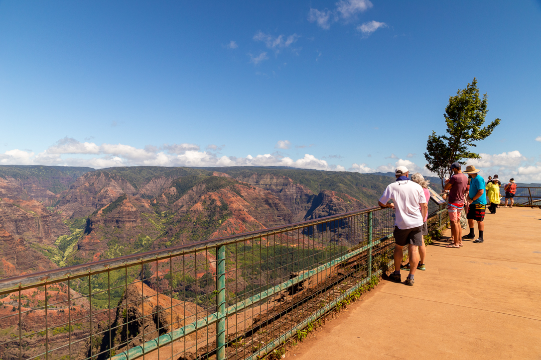Kauai Adventure Waimea Canyon Scenic Drive