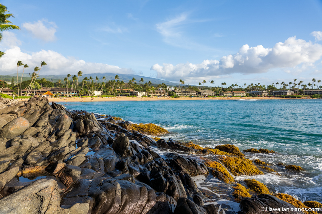 Maui Weather in February – Essential Info