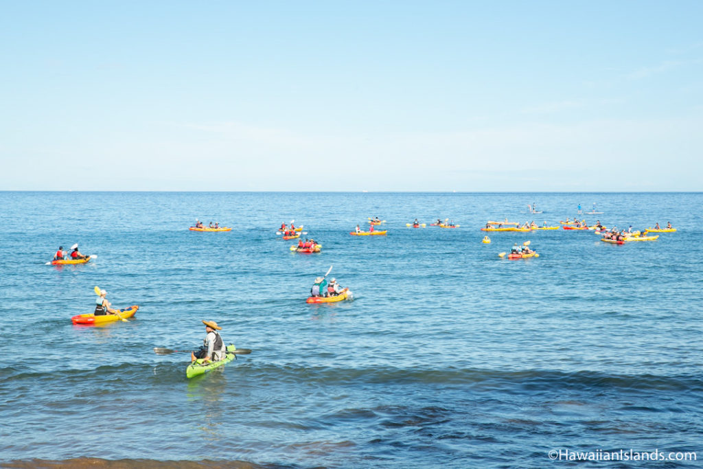 What Do Tourists Need to Know About Maui Weather - Auntie Snorkel What Do Tourists Need to Know About Maui Weather - Auntie Snorkel