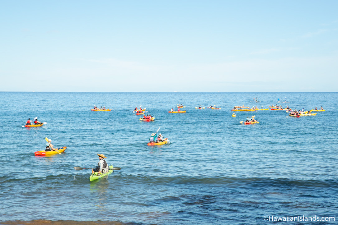 Maui Weather in January