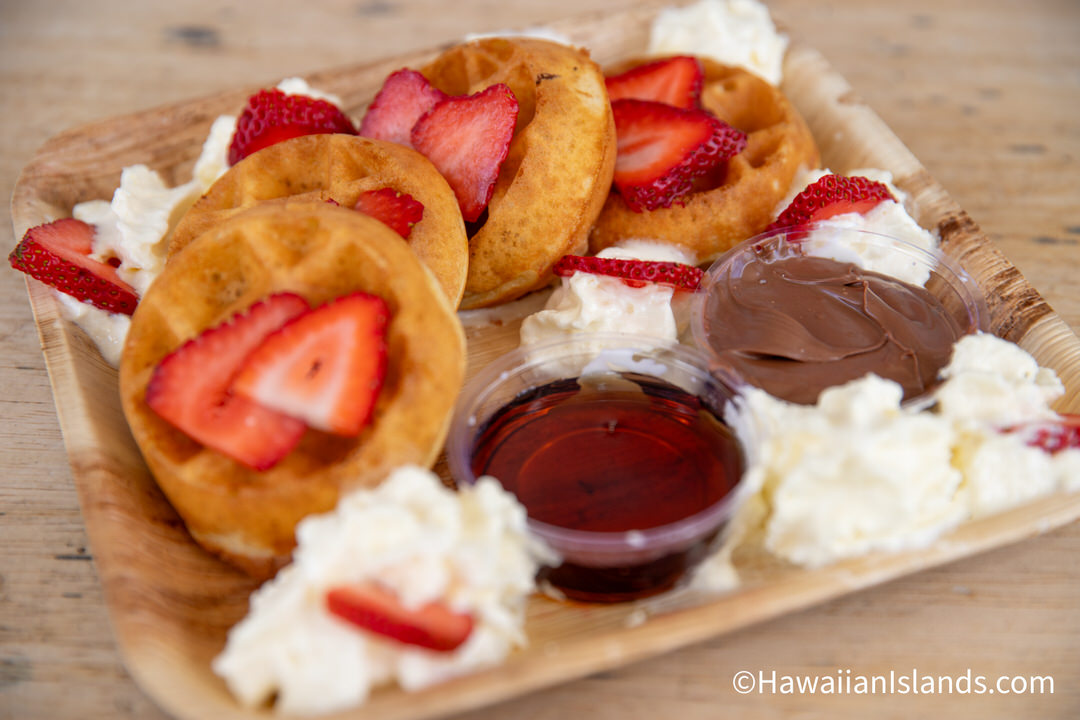 Best Coffee in Oahu Top Recommendations