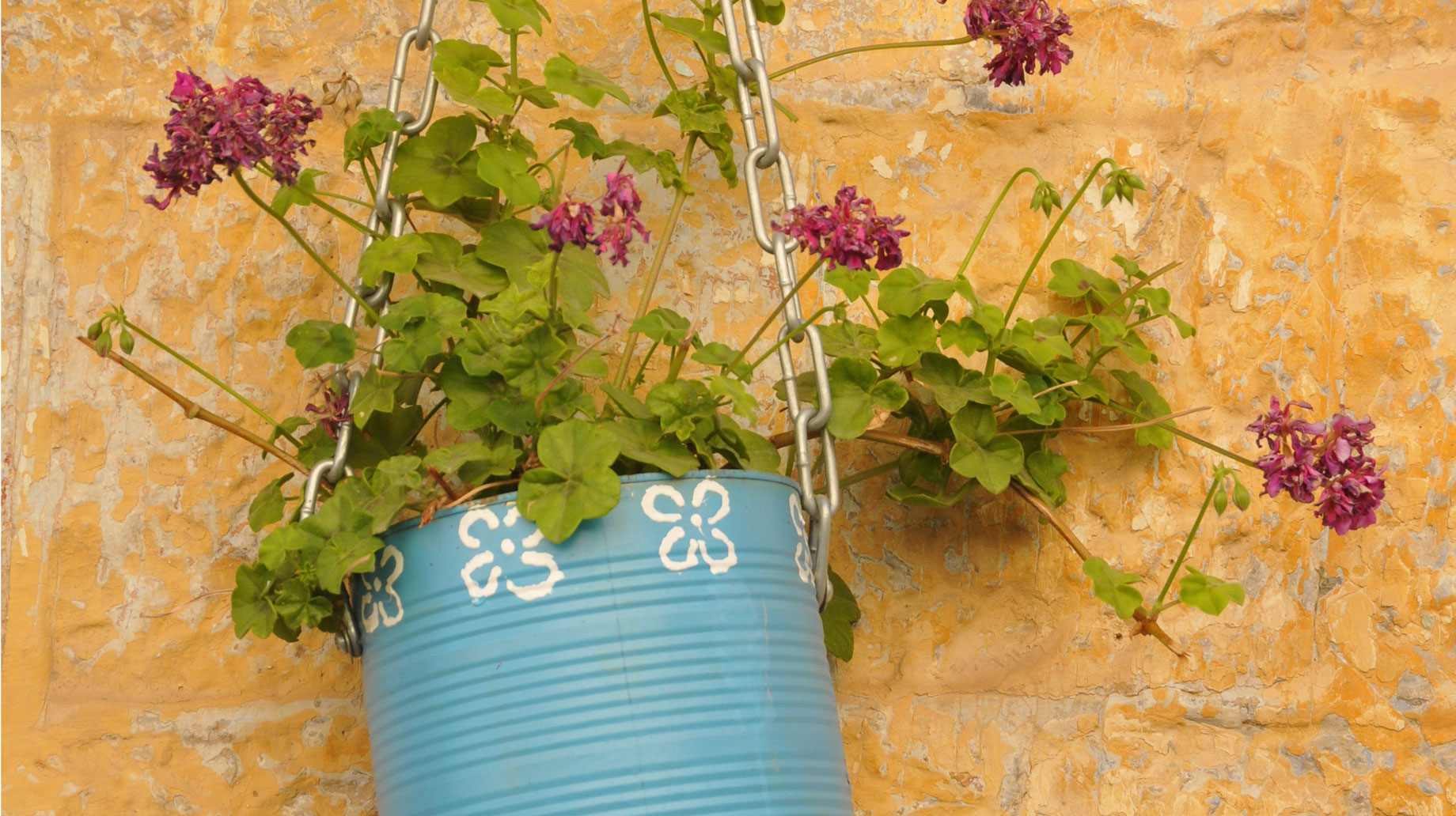 flowerpot