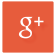 Google+