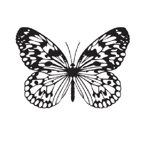 Black and white butterfly in 3D pen art