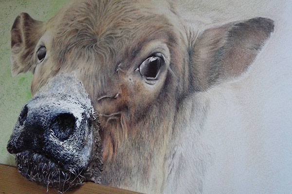 Breaking Free of 2D with Niki Firmin