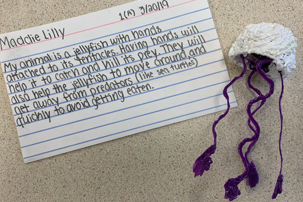 Teacher Spotlight: Ellen Peterson on Technology in the Classroom