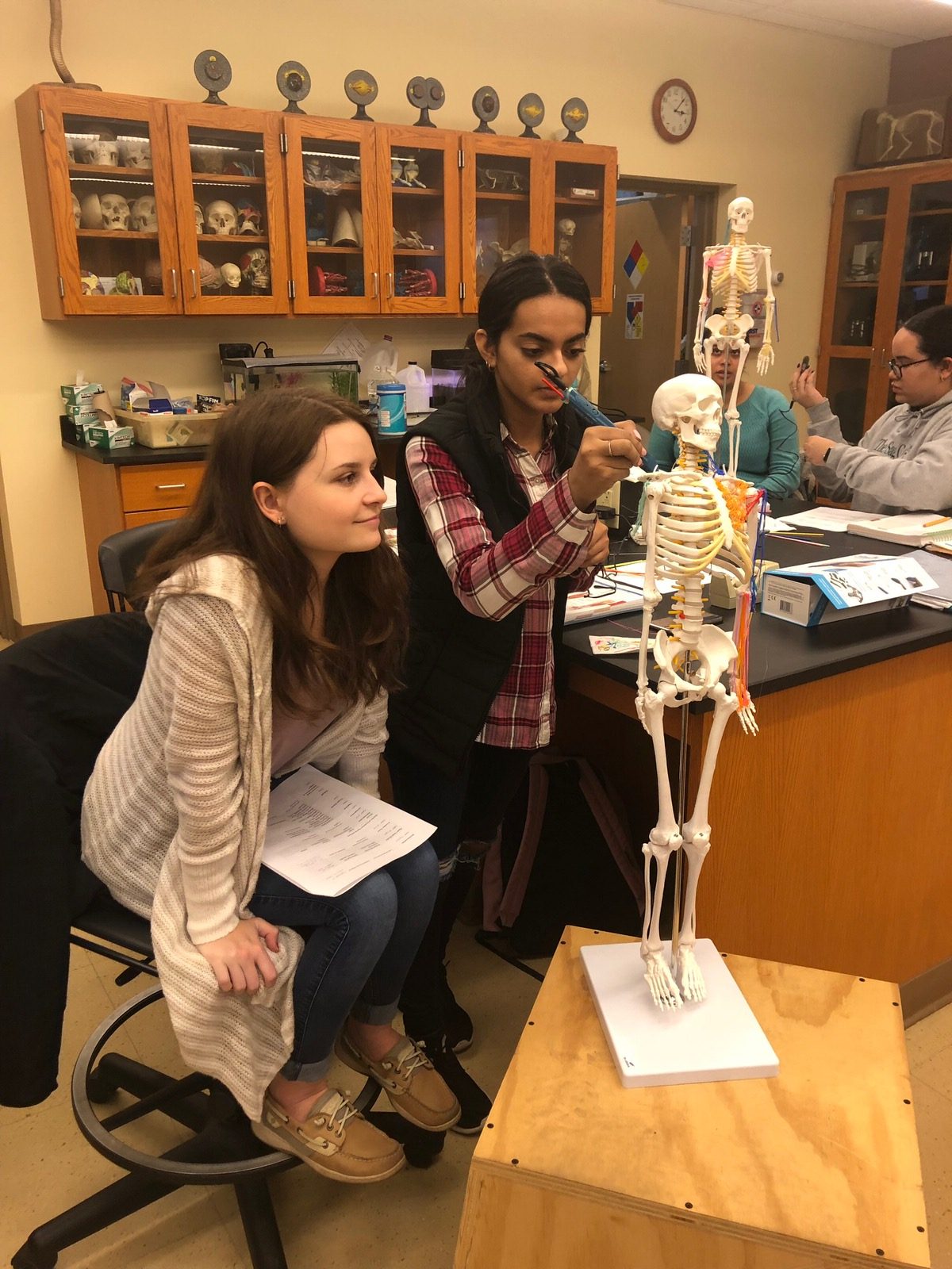 3D pen art: Woman examining human skeleton model