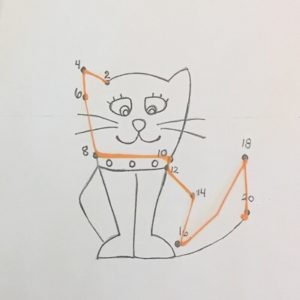 3D cat drawing with body and head diagram