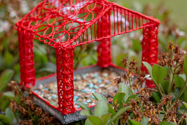 A DIY Feeder that Brings all the Birds to the Yard