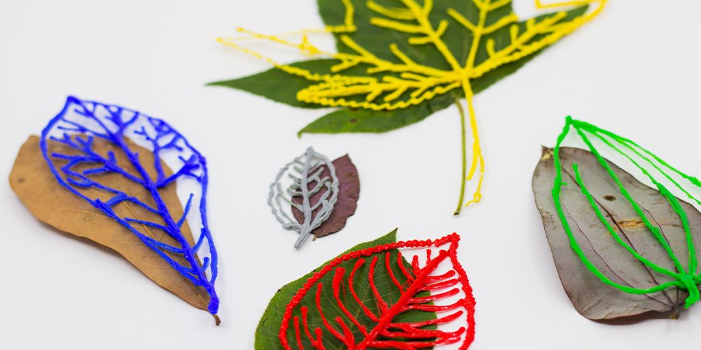 What on Earth?! Doodling the World Around Us