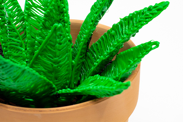 DIY Succulent Garden