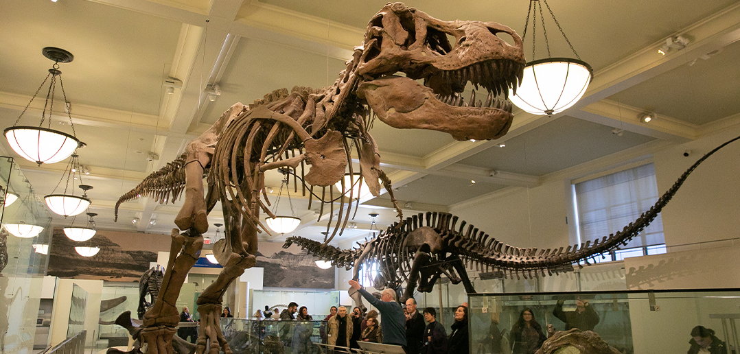 3D pen art: T-Rex skeleton & people at museum