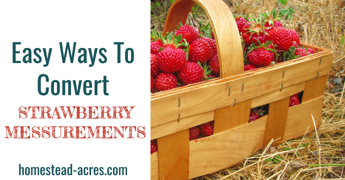 Strawberry Measures and Equivalents (That Make Cooking Easier ...