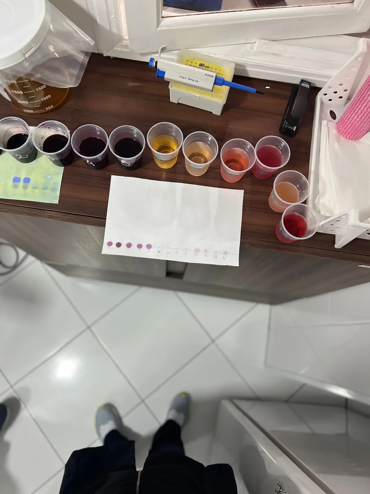 Gallery - 1