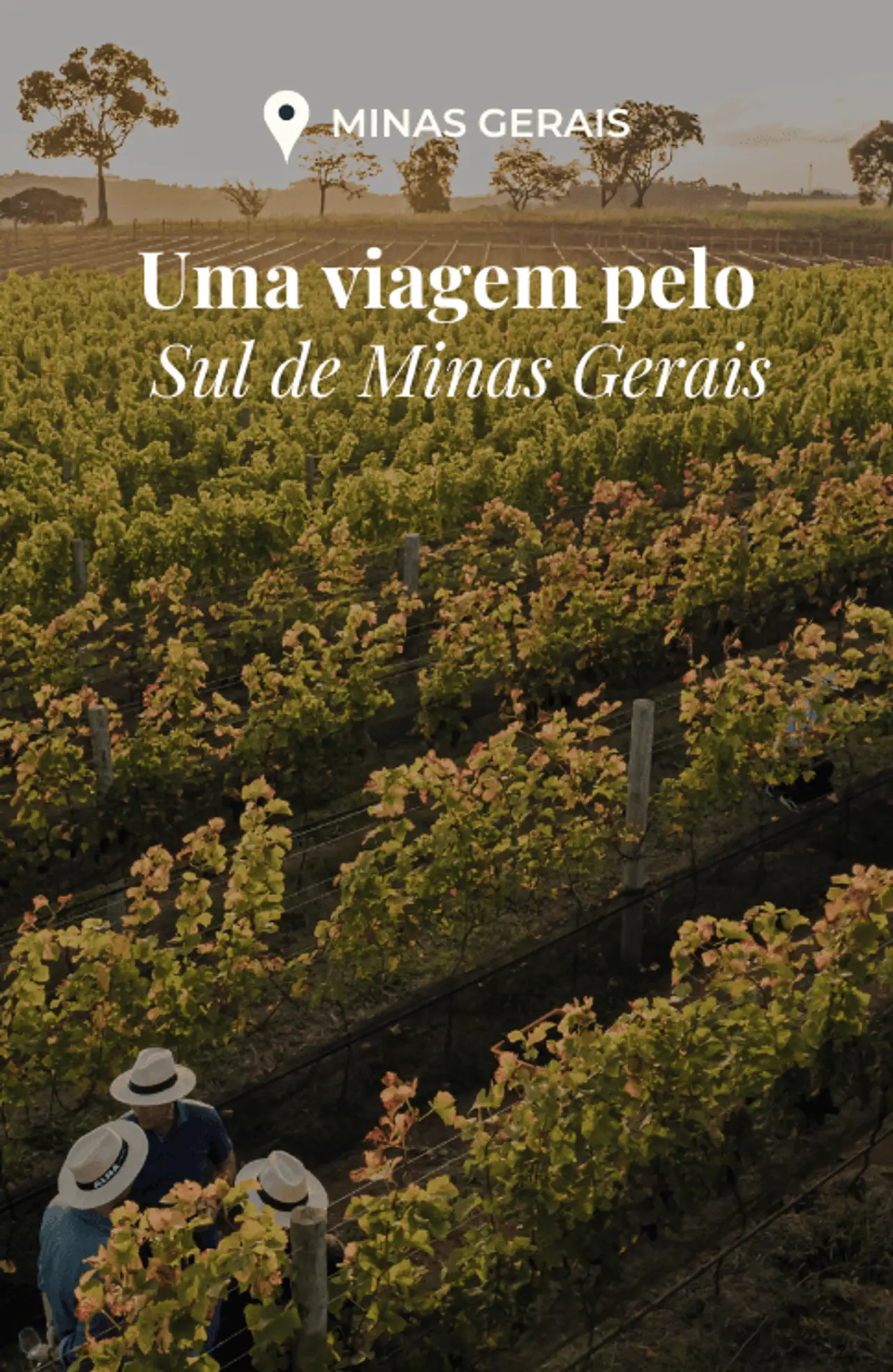 Cover - 173