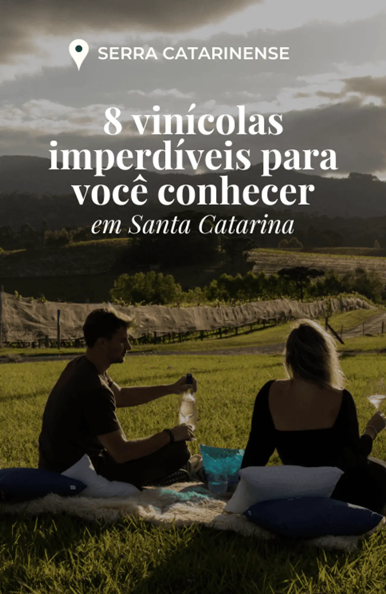 Cover - 180