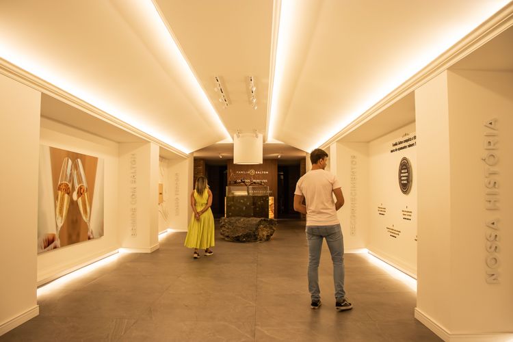 Gallery - 1