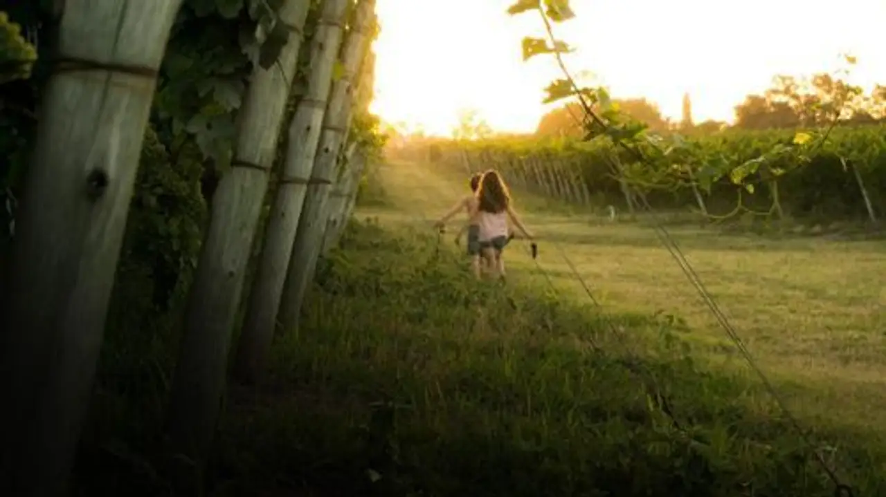 Gallery - 0