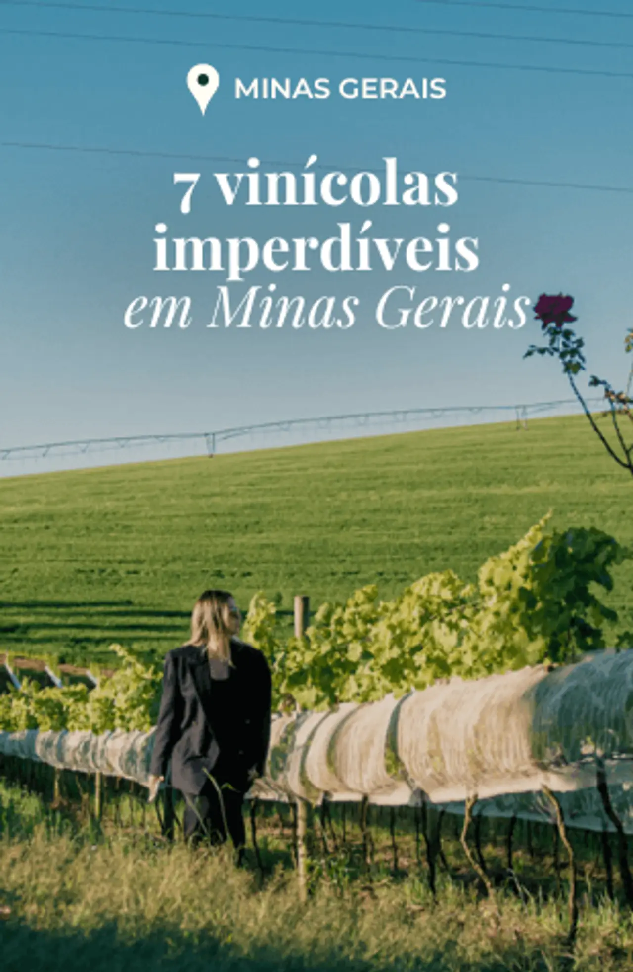 Cover - 175