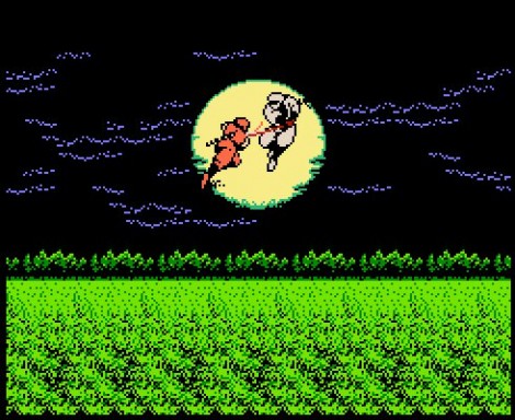 ninjagaidednes