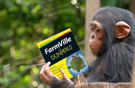 chimpanzee