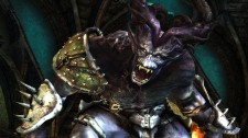 yggiaDragonOgre Dragon Age: Origins Ogre