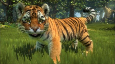 r2akinectimals Kinect