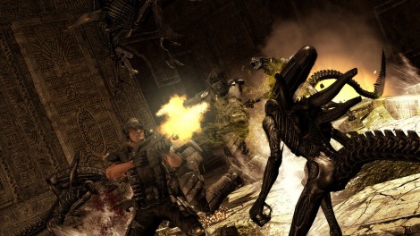 avp