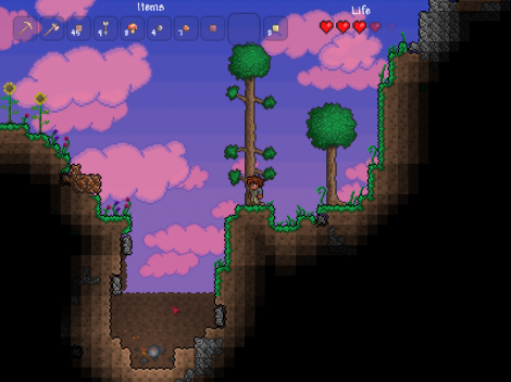 terrariapit