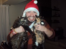cats Cats