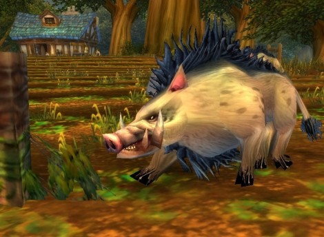 oBoar Boar