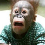 surprised-face surprised