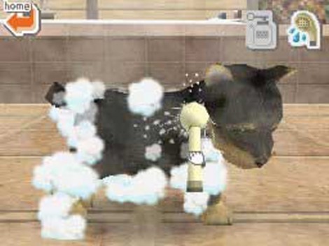 r2aDogs Nintendogs