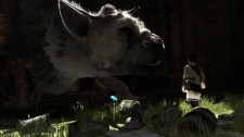 soGuardian The Last Guardian