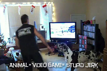 idito Animals and video games.