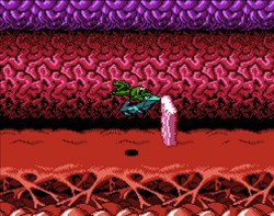 gcBT Battletoads
