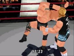 scstunner Stone Cold Stunner
